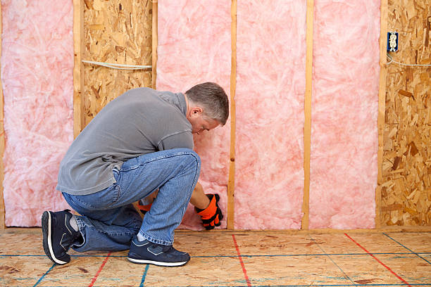 Best DIY Insulation Kits and Guidance in Mulvane, KS