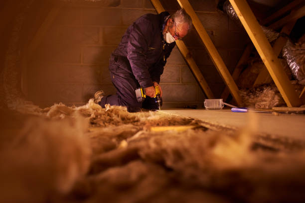 Best Specialized Insulation Services in Mulvane, KS